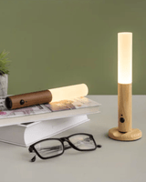 Rechargeable Wooden Sconce